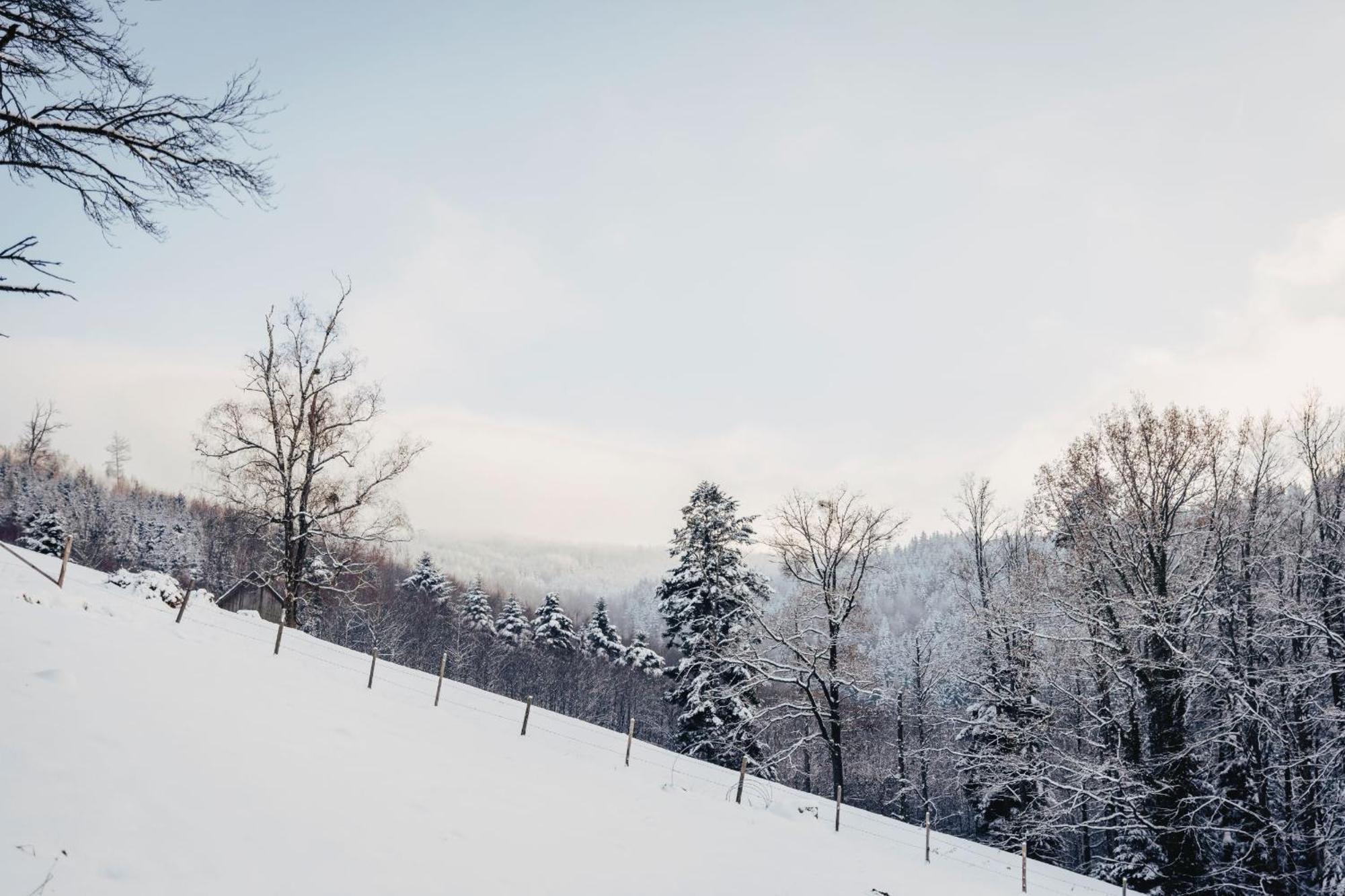 Waldjuwel Mostviertel Allhartsberg 外观 照片